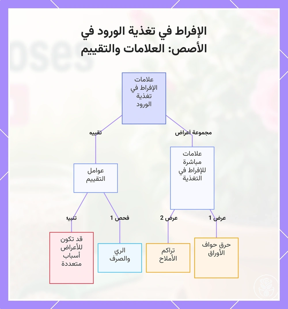 الإفراط في تغذية الورود في الأصص: العلامات والتقييم