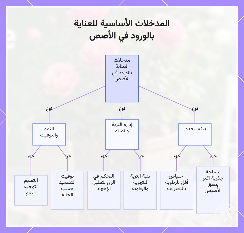 المدخلات الأساسية للعناية بالورود في الأصص