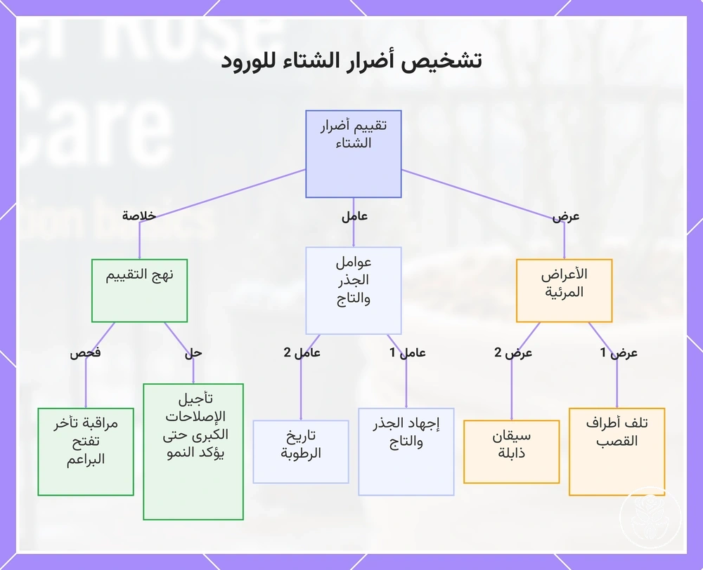 تشخيص أضرار الشتاء للورود