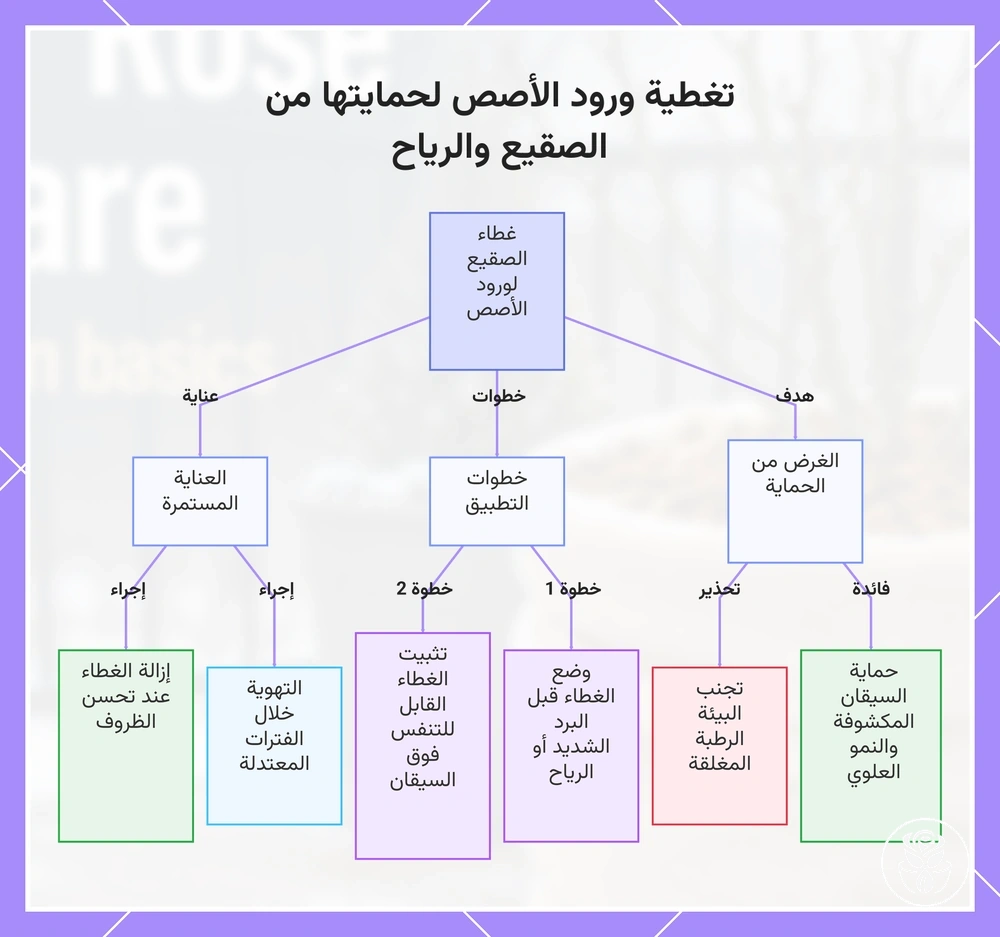 تغطية ورود الأصص لحمايتها من الصقيع والرياح