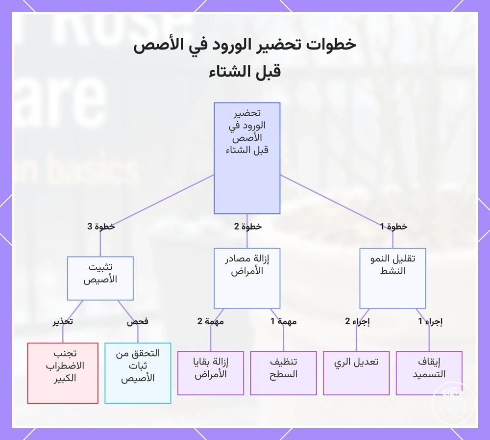 خطوات تحضير الورود في الأصص قبل الشتاء