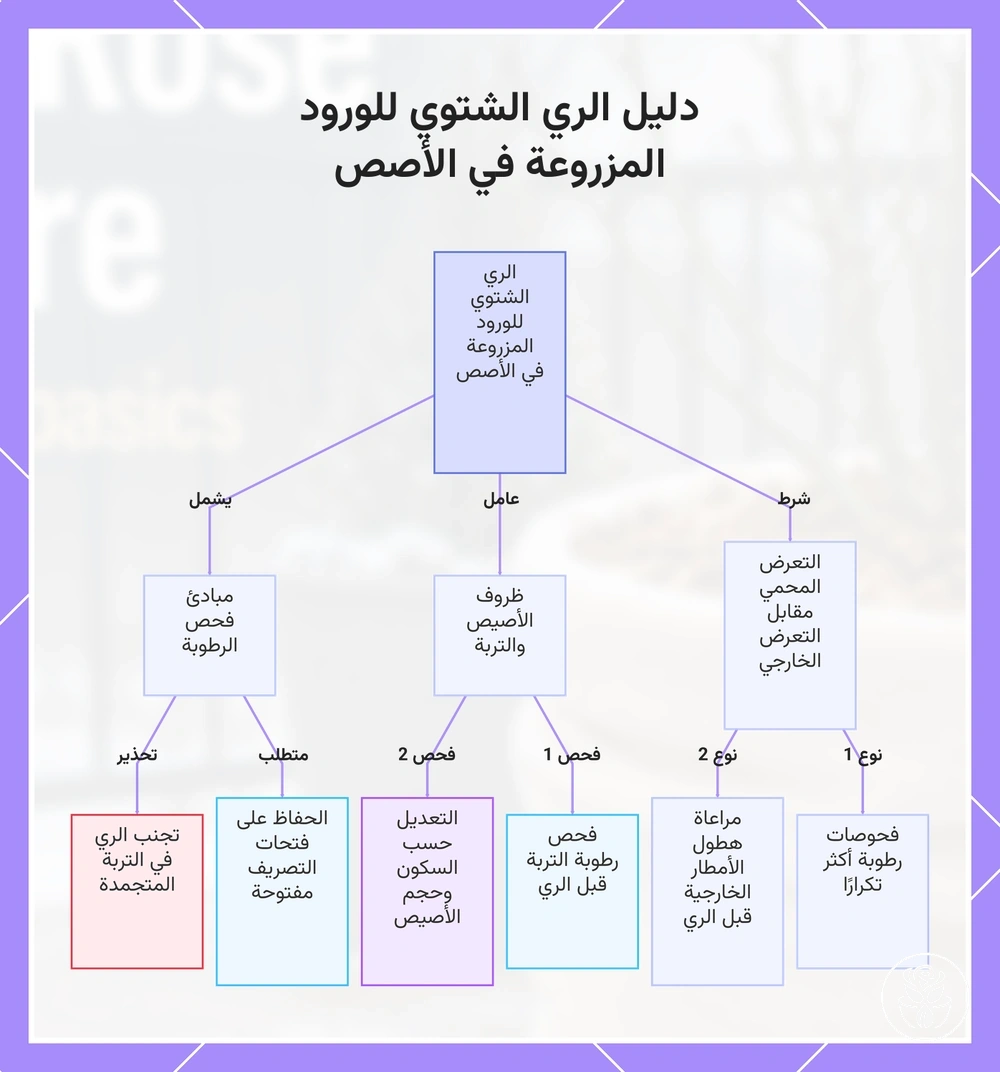 دليل الري الشتوي للورود المزروعة في الأصص