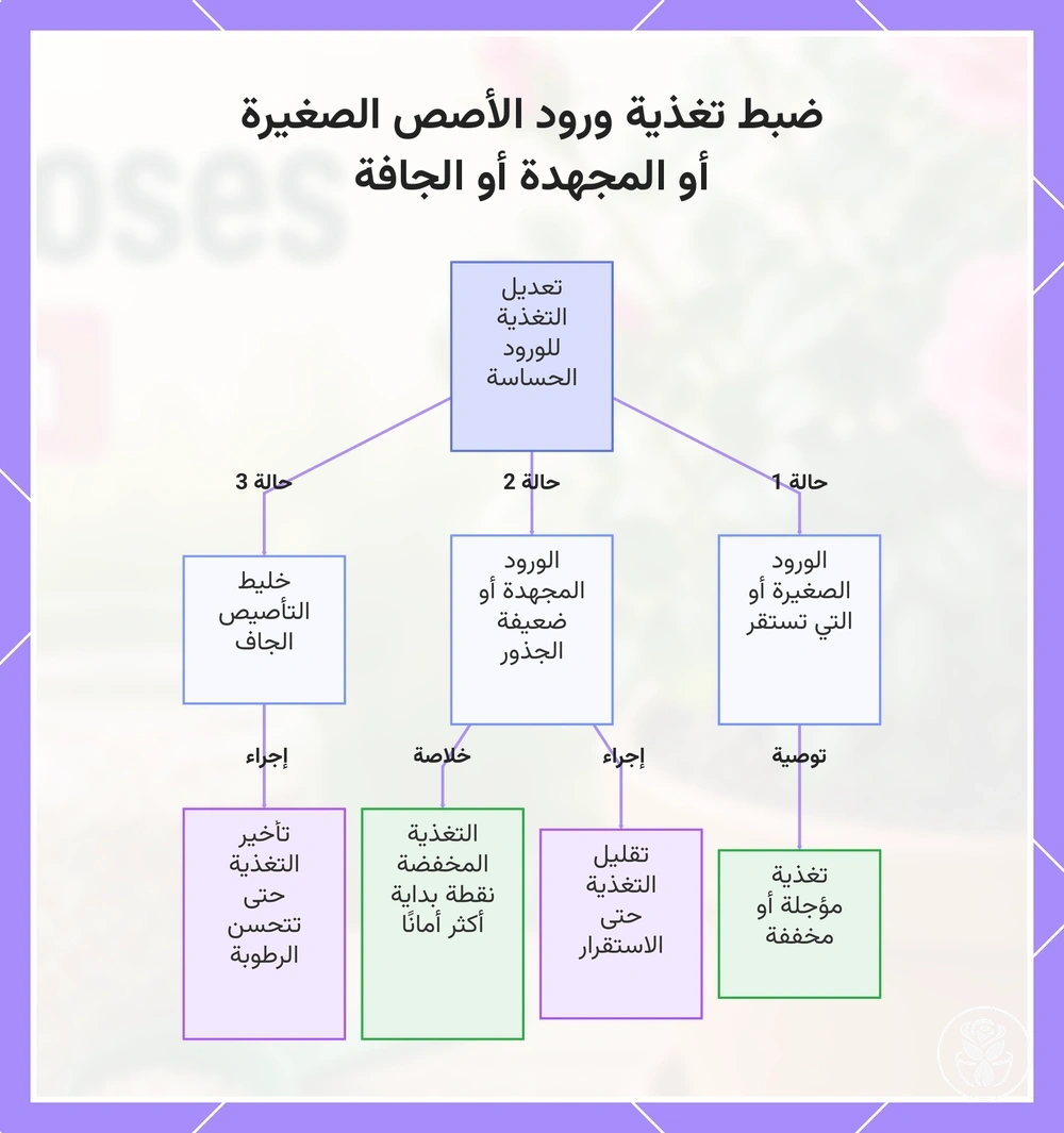 ضبط تغذية ورود الأصص الصغيرة أو المجهدة أو الجافة
