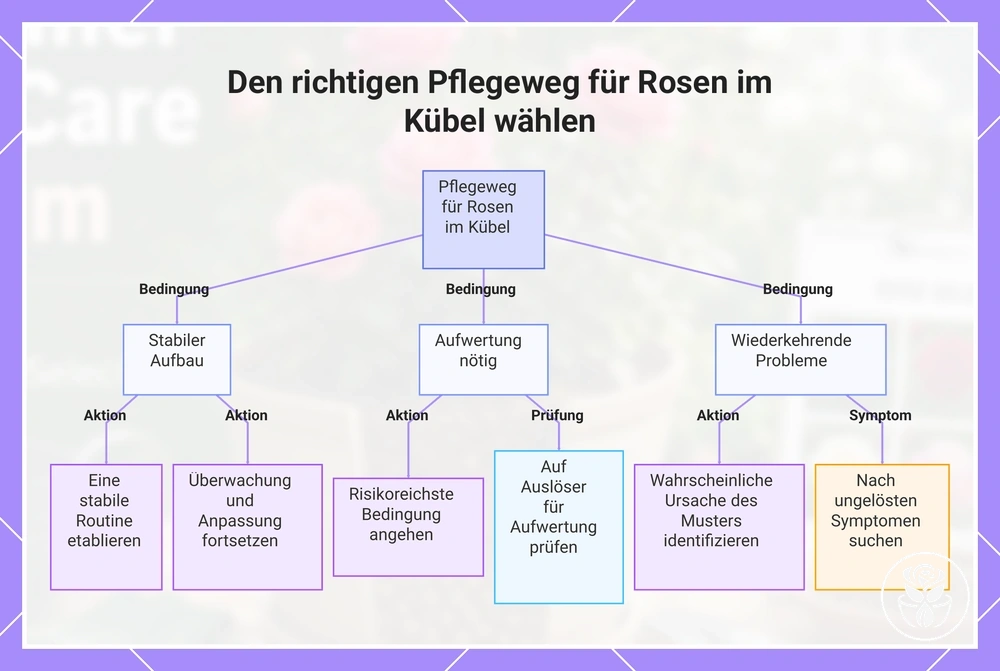 Den richtigen Pflegeweg für Rosen im Kübel wählen