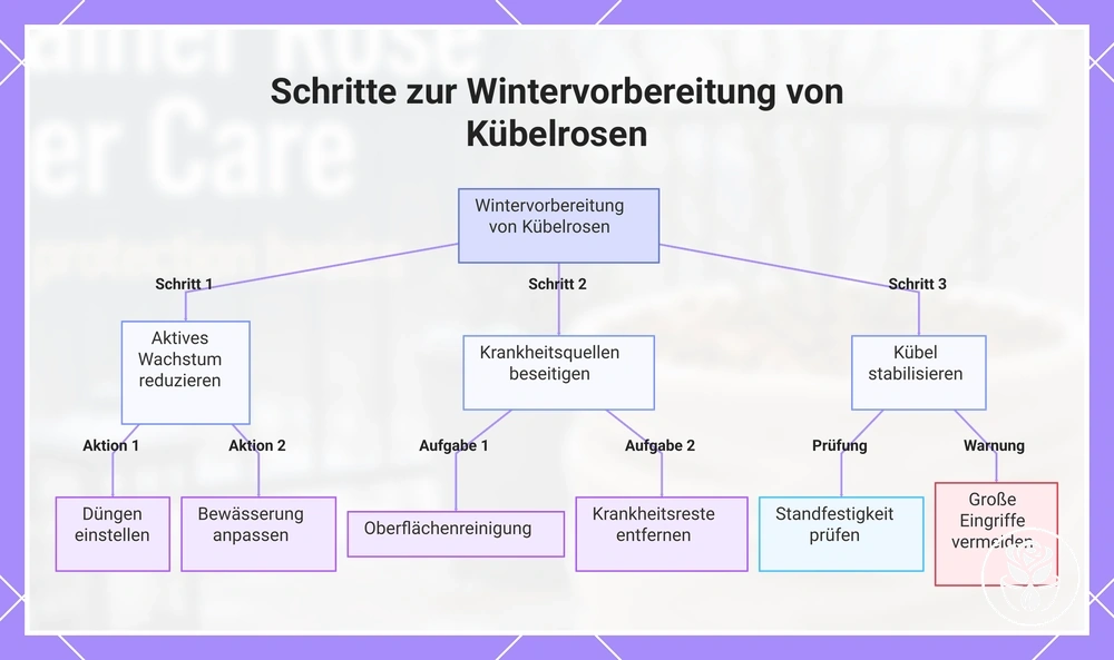 Schritte zur Wintervorbereitung von Kübelrosen