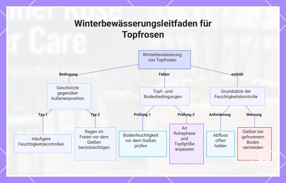 Winterbewässerungsleitfaden für Topfrosen