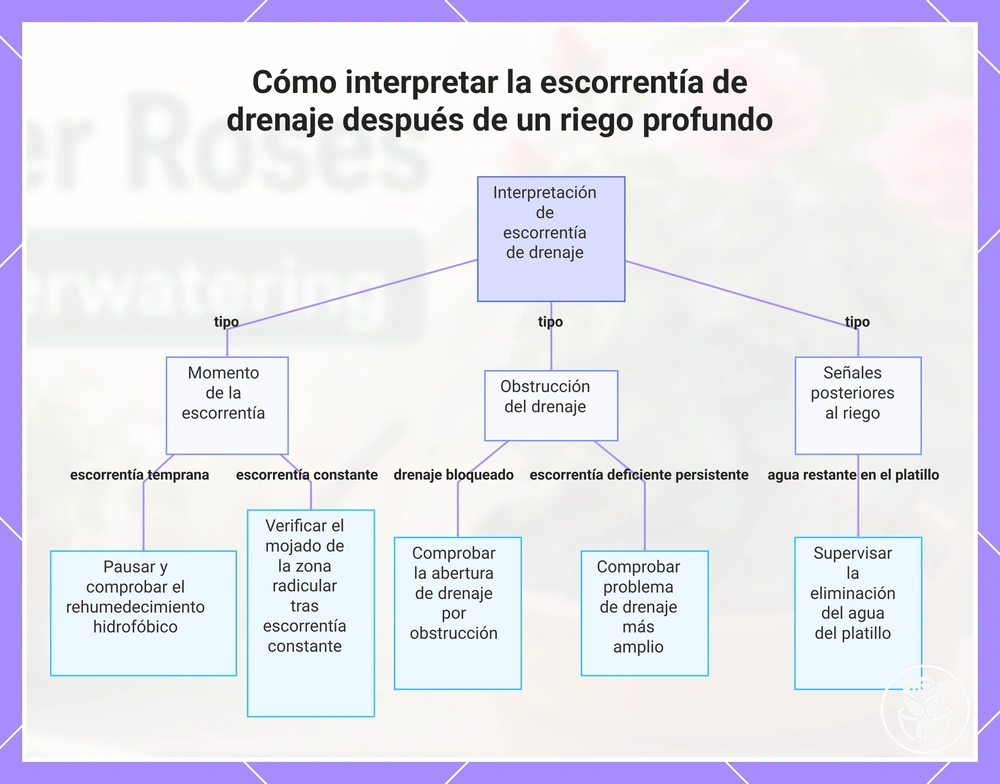 Cómo interpretar la escorrentía de drenaje después de un riego profundo