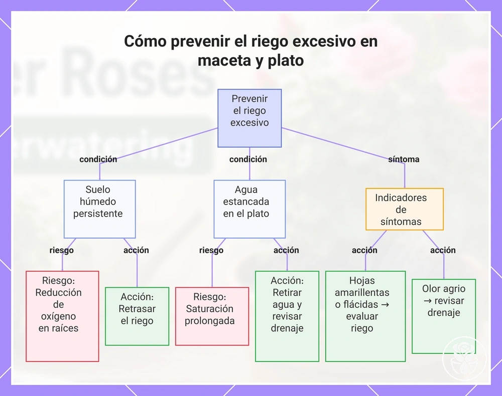 Cómo prevenir el riego excesivo en maceta y plato