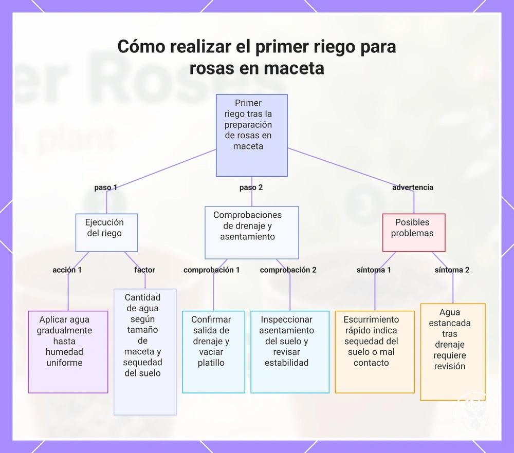 Cómo realizar el primer riego para rosas en maceta