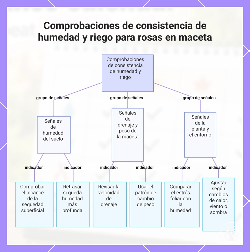 Comprobaciones de consistencia de humedad y riego para rosas en maceta