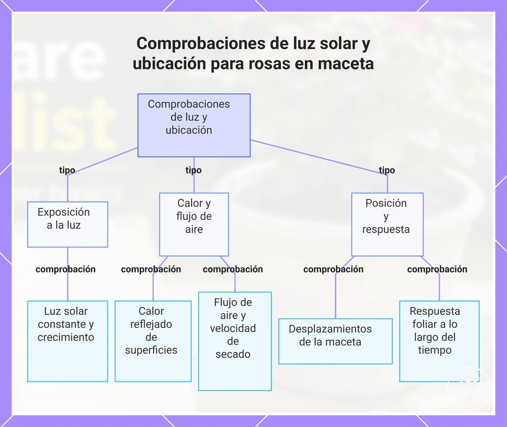 Comprobaciones de luz solar y ubicación para rosas en maceta