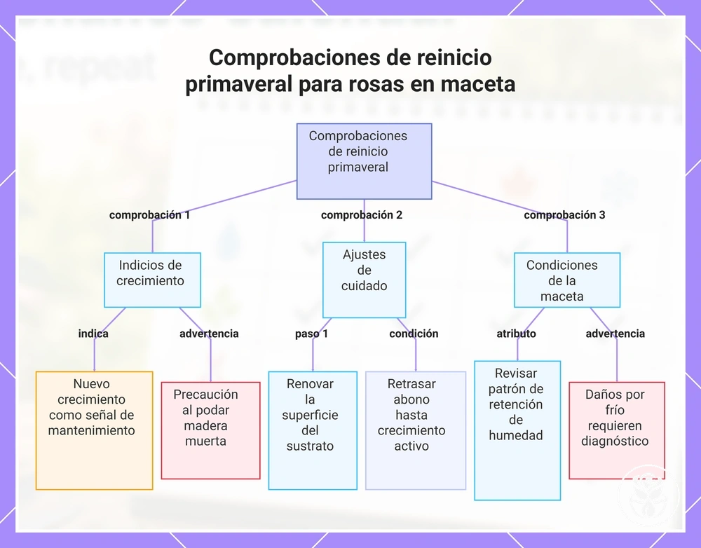 Comprobaciones de reinicio primaveral para rosas en maceta