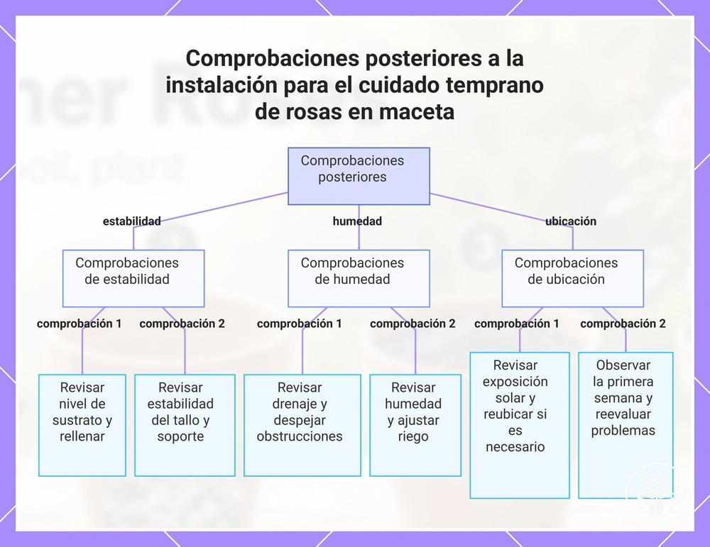 Comprobaciones posteriores a la instalación para el cuidado temprano de rosas en maceta