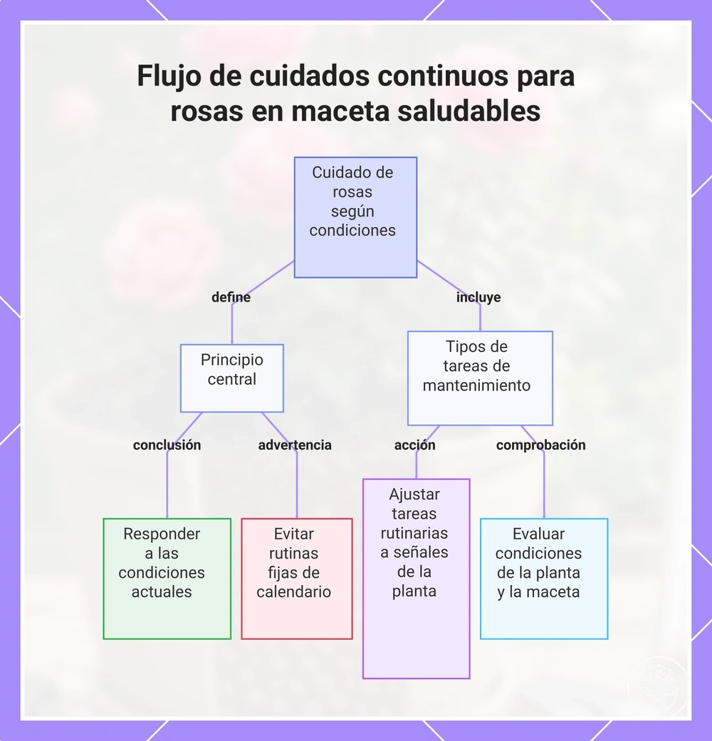 Flujo de cuidados continuos para rosas en maceta saludables