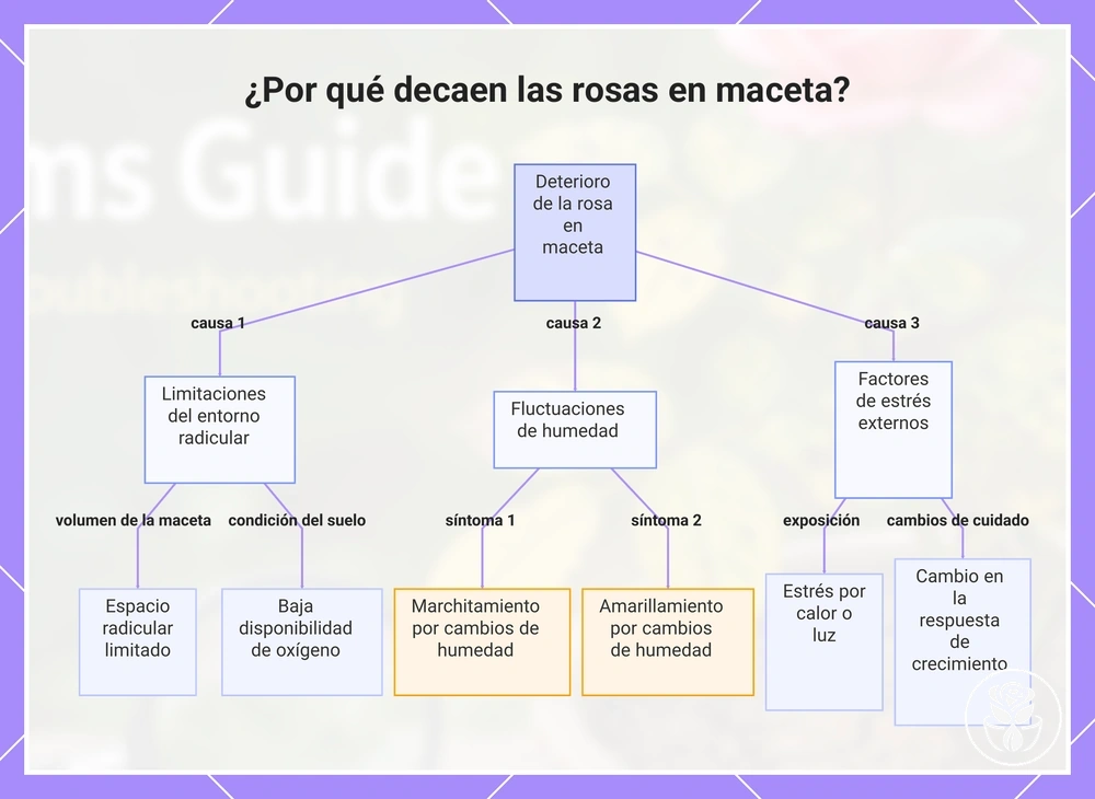 ¿Por qué decaen las rosas en maceta?