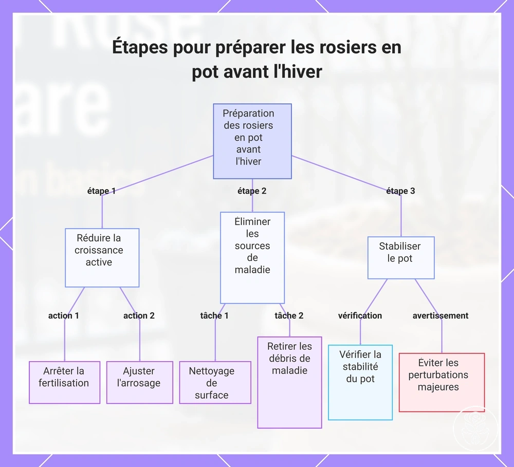 Étapes pour préparer les rosiers en pot avant l'hiver