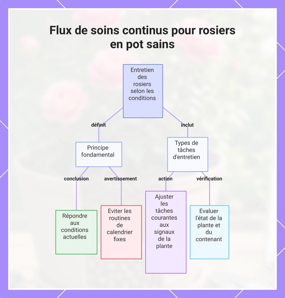 Flux de soins continus pour rosiers en pot sains