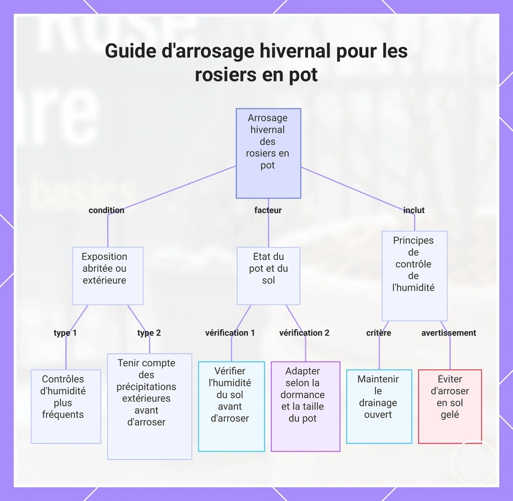 Guide d'arrosage hivernal pour les rosiers en pot