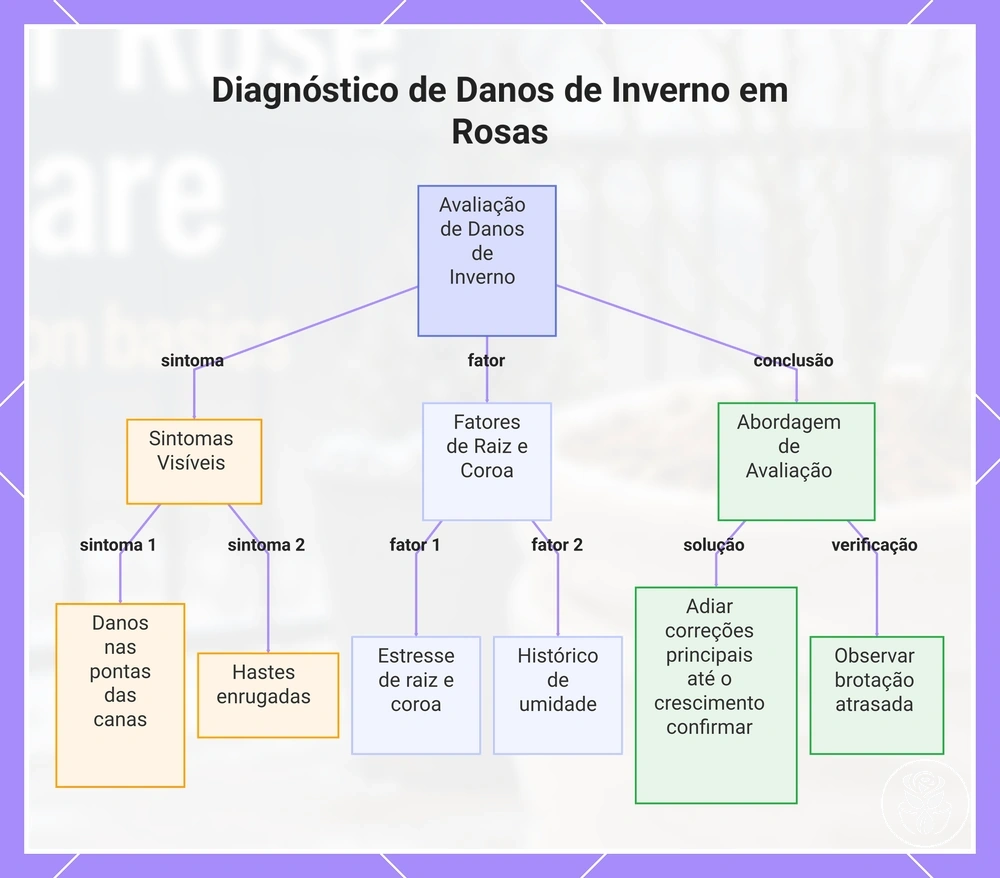 Diagnóstico de Danos de Inverno em Rosas