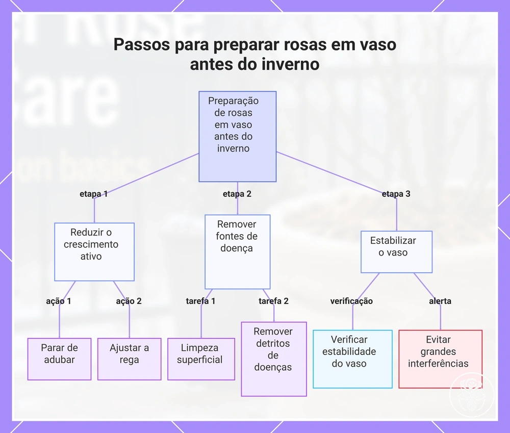 Passos para preparar rosas em vaso antes do inverno