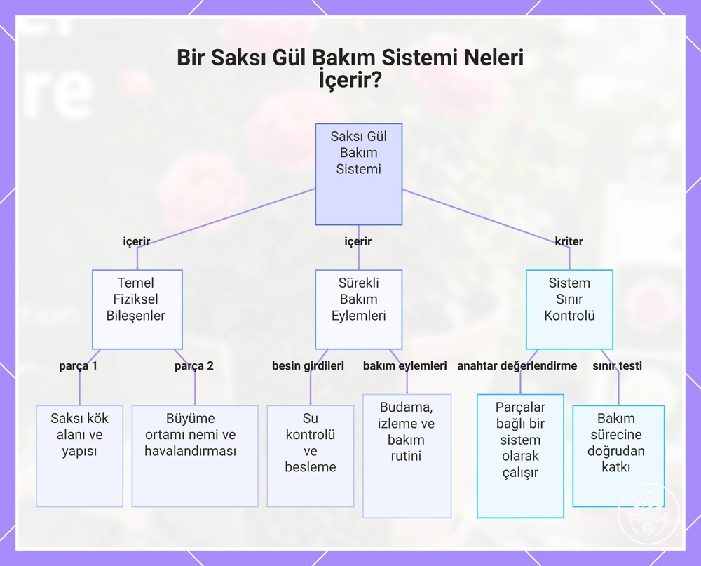 Bir Saksı Gül Bakım Sistemi Neleri İçerir?