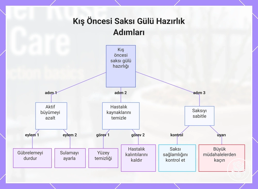Kış Öncesi Saksı Gülü Hazırlık Adımları