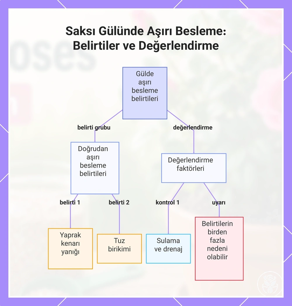 Saksı Gülünde Aşırı Besleme: Belirtiler ve Değerlendirme