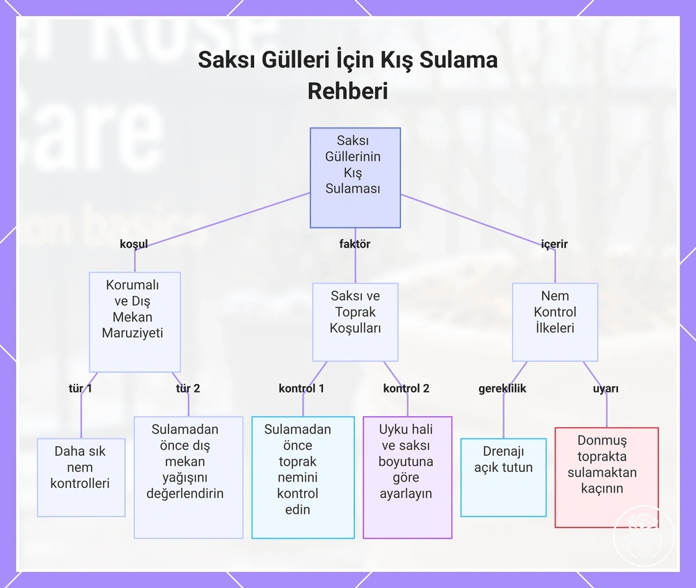 Saksı Gülleri İçin Kış Sulama Rehberi