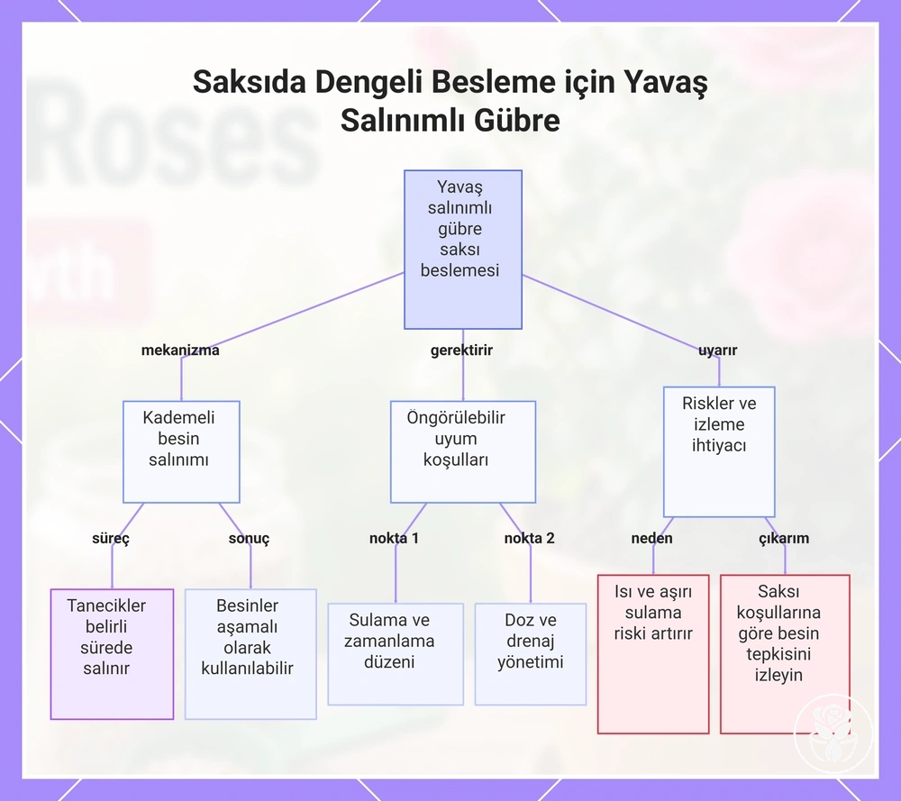 Saksıda Dengeli Besleme için Yavaş Salınımlı Gübre