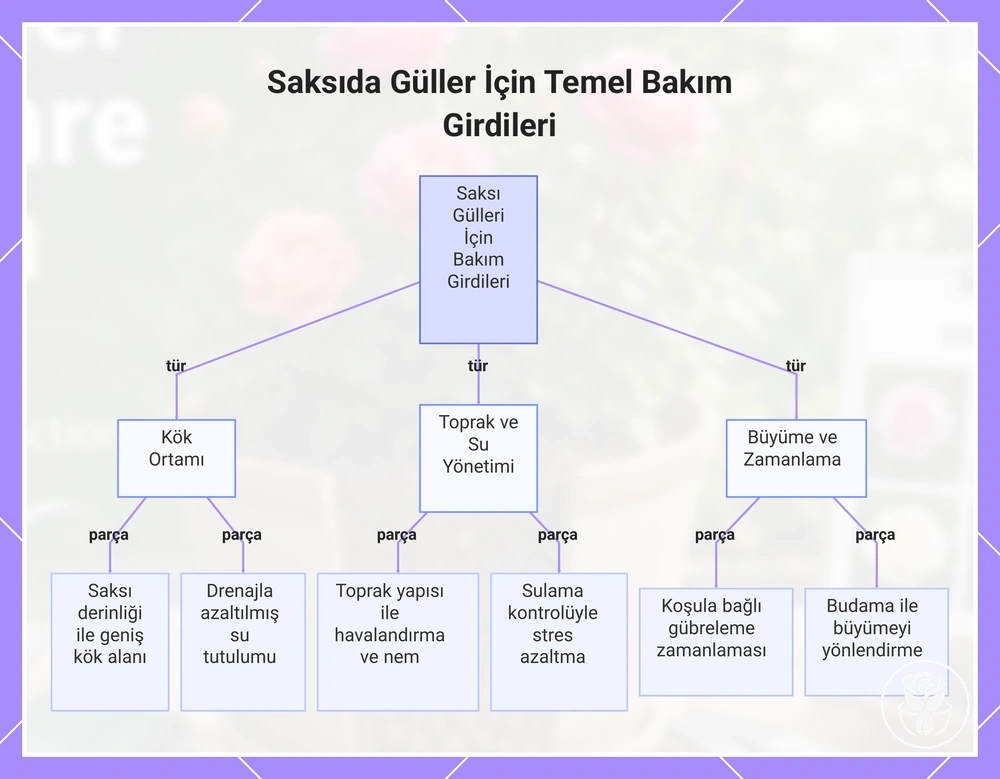 Saksıda Güller İçin Temel Bakım Girdileri